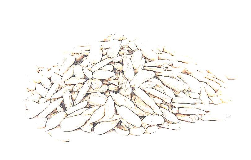 Семена подсолнечника очищенные (рисунок)